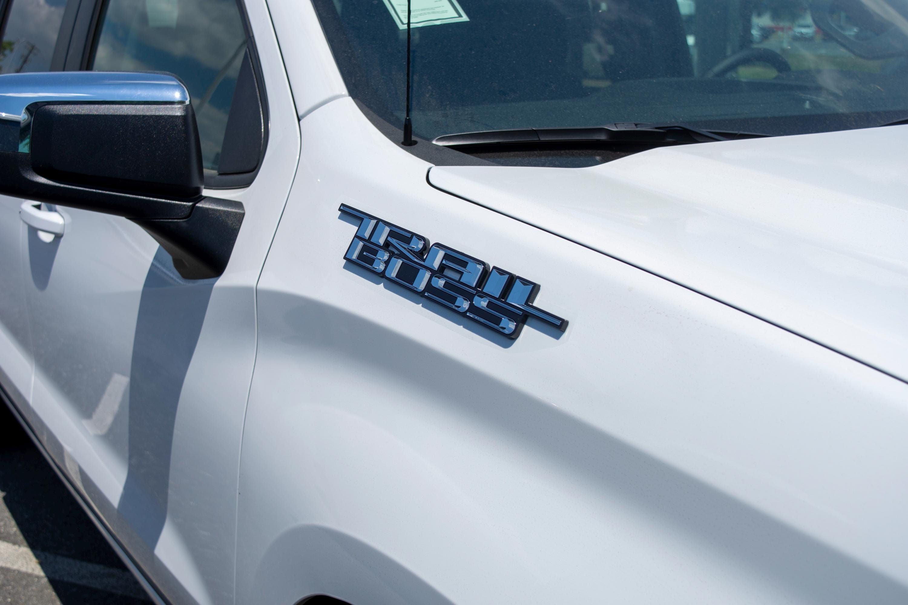 Chrome with Black outline Custom 1/8" Thick Trailboss Bedside Emblem Badge with Adhesive - 12'' x 1.8'' - ABS Plastic