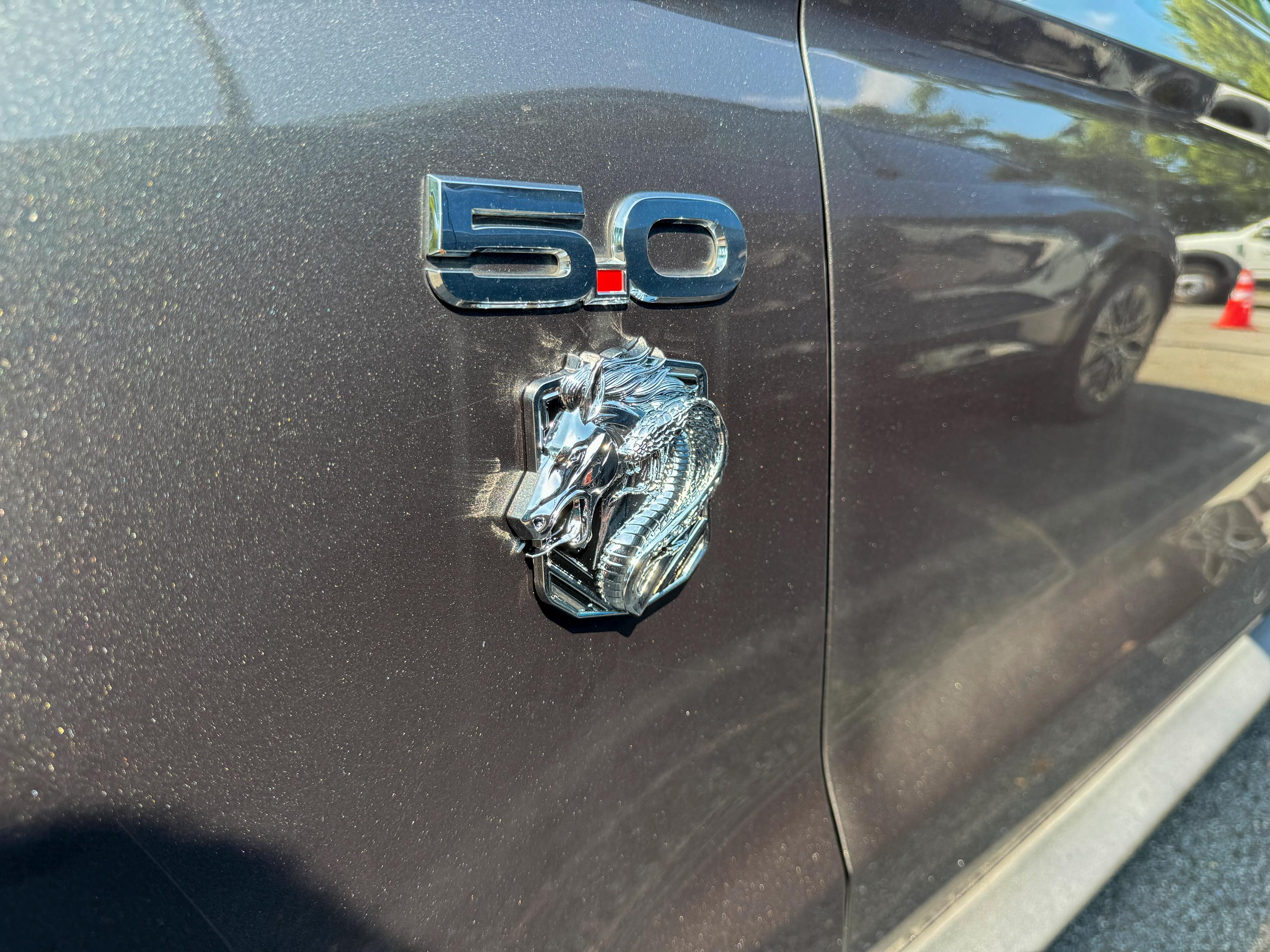 Coyote Emblem – Mustang Accessories for Fender / Door | OEM+ Style, 4"x4" Chrome