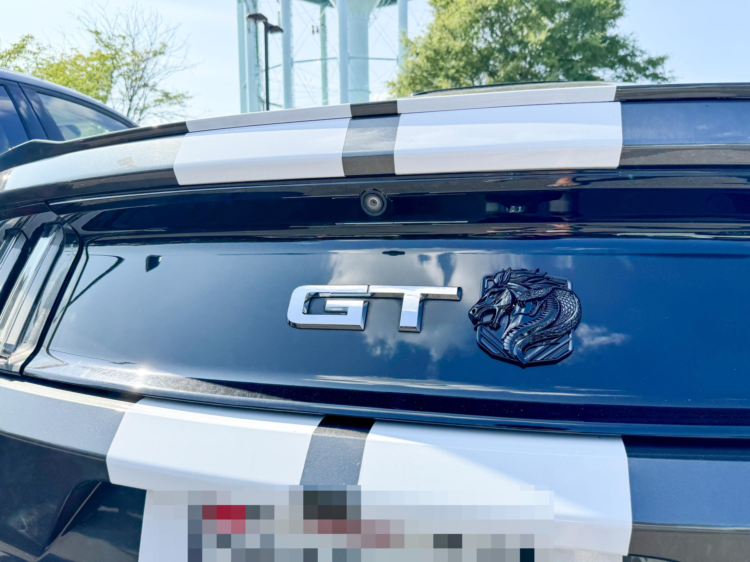 Coyote Emblem – Mustang Accessories for Fender / Door | OEM+ Style, 4"x4" Gloss Black