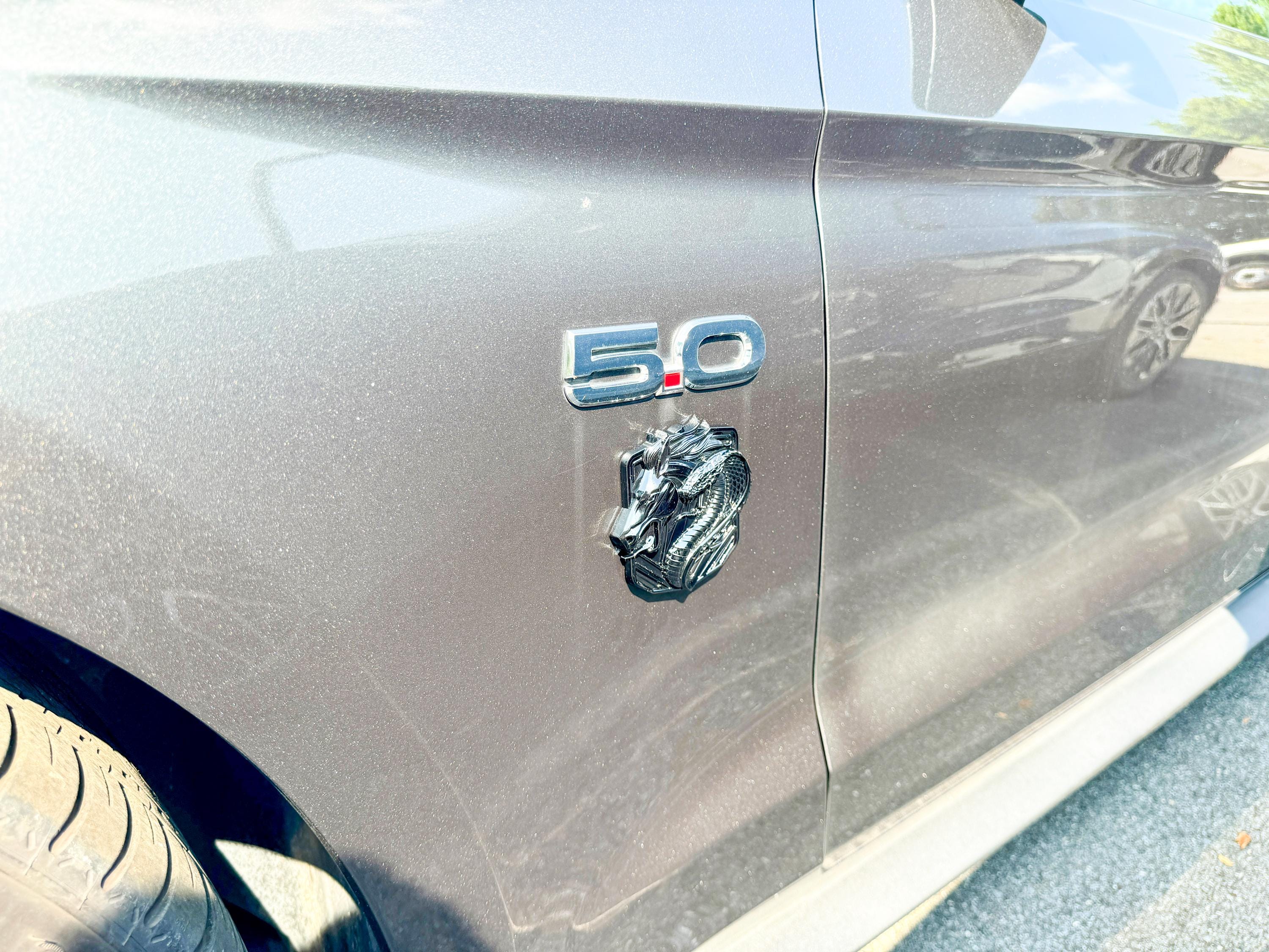 Coyote Emblem – Mustang Accessories for Fender / Door | OEM+ Style, 4"x4" Gloss Black