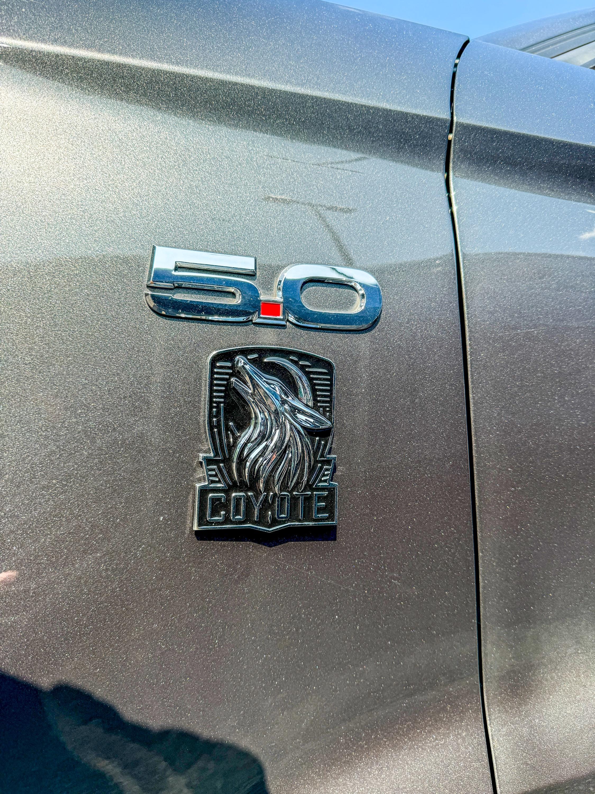 Coyote Emblem – Mustang Accessories for Fender / Door | OEM+ Style, 4"x4" Chrome Black