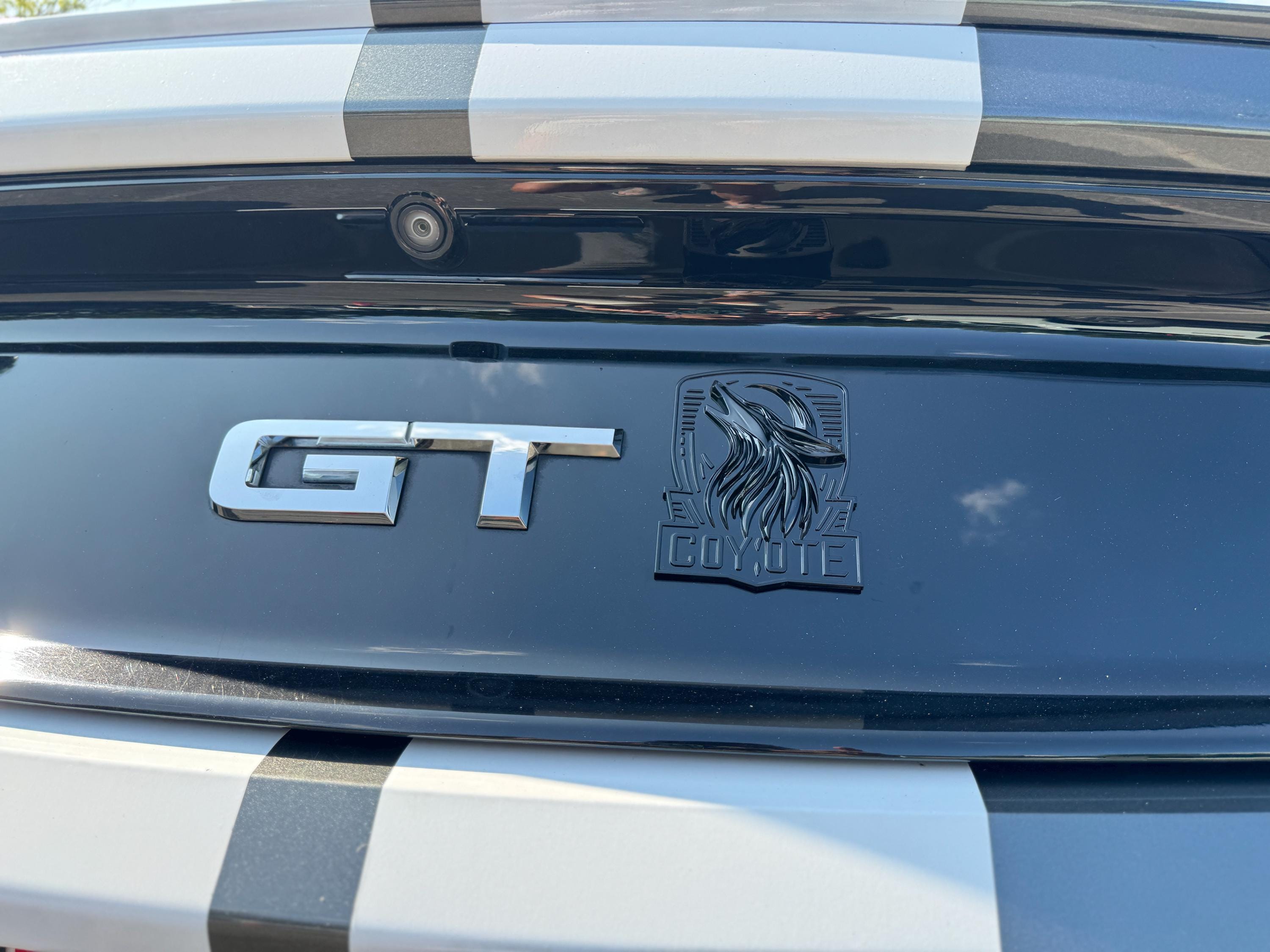 Coyote Emblem – Mustang Accessories for Fender / Door | OEM+ Style, 4"x4" Gloss Black