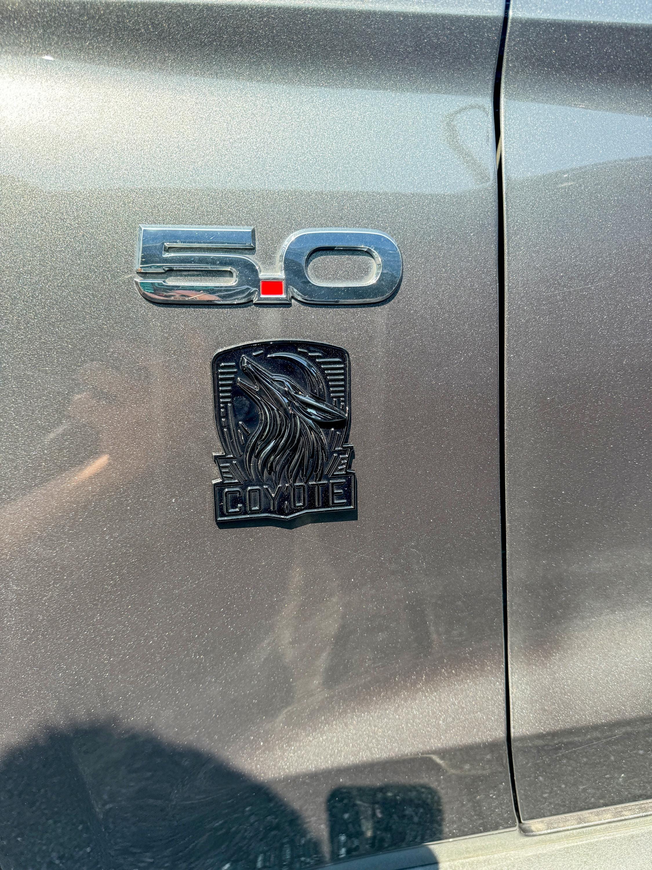 Coyote Emblem – Mustang Accessories for Fender / Door | OEM+ Style, 4"x4" Gloss Black