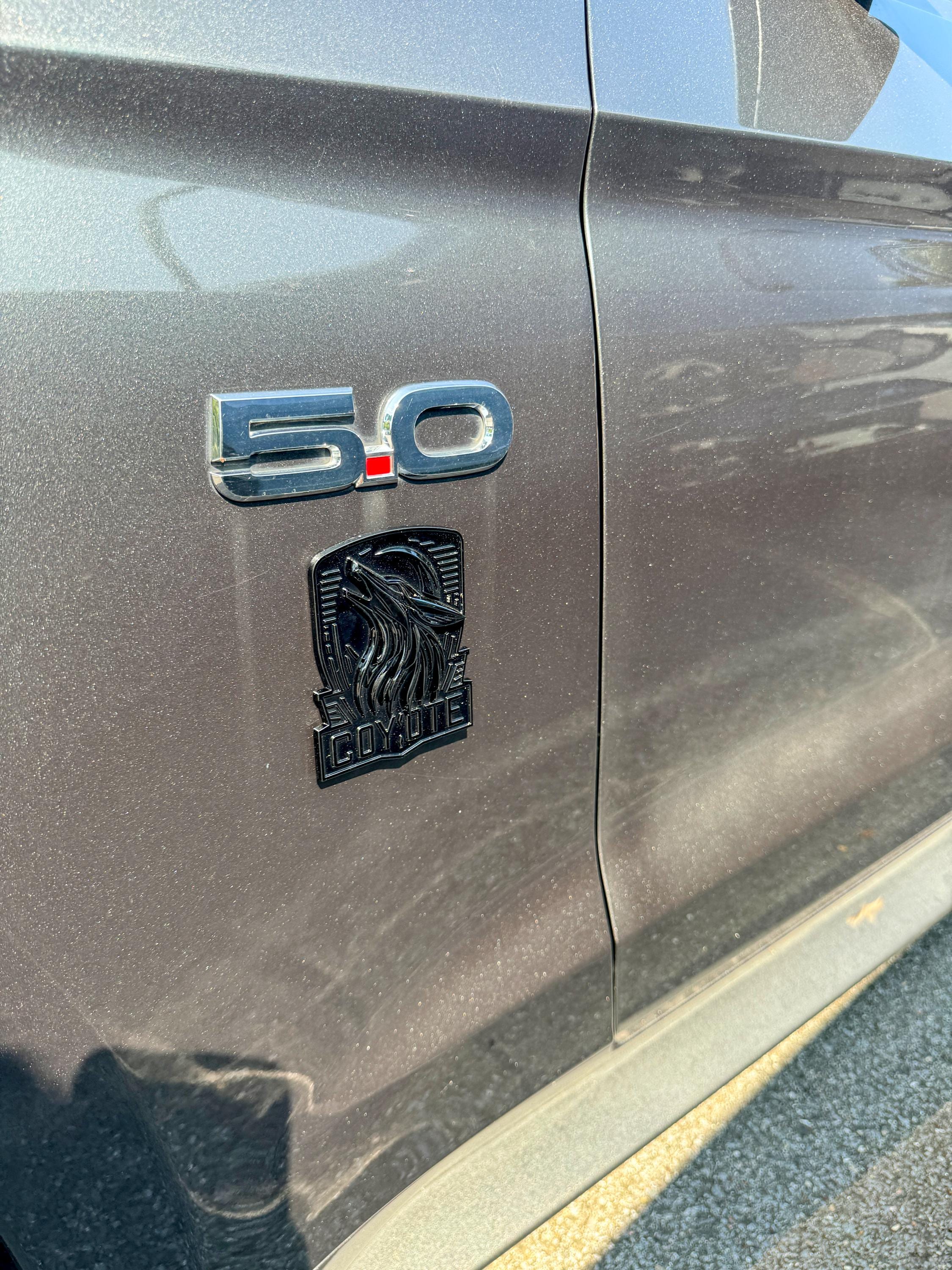 Coyote Emblem – Mustang Accessories for Fender / Door | OEM+ Style, 4"x4" Gloss Black