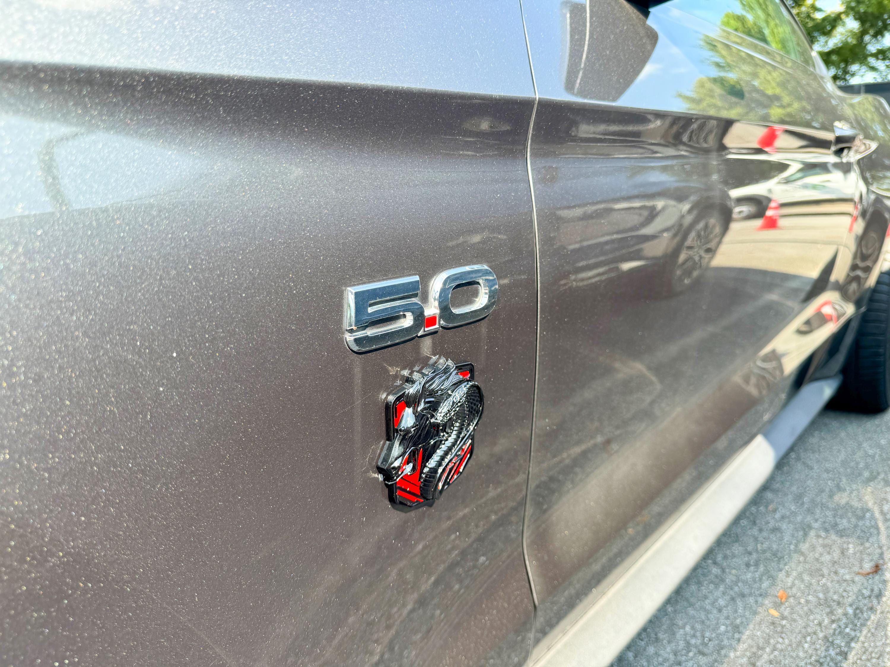 Coyote Emblem – Mustang Accessories for Fender/ Decklid/Bumper | OEM+ Style, 4"x4"