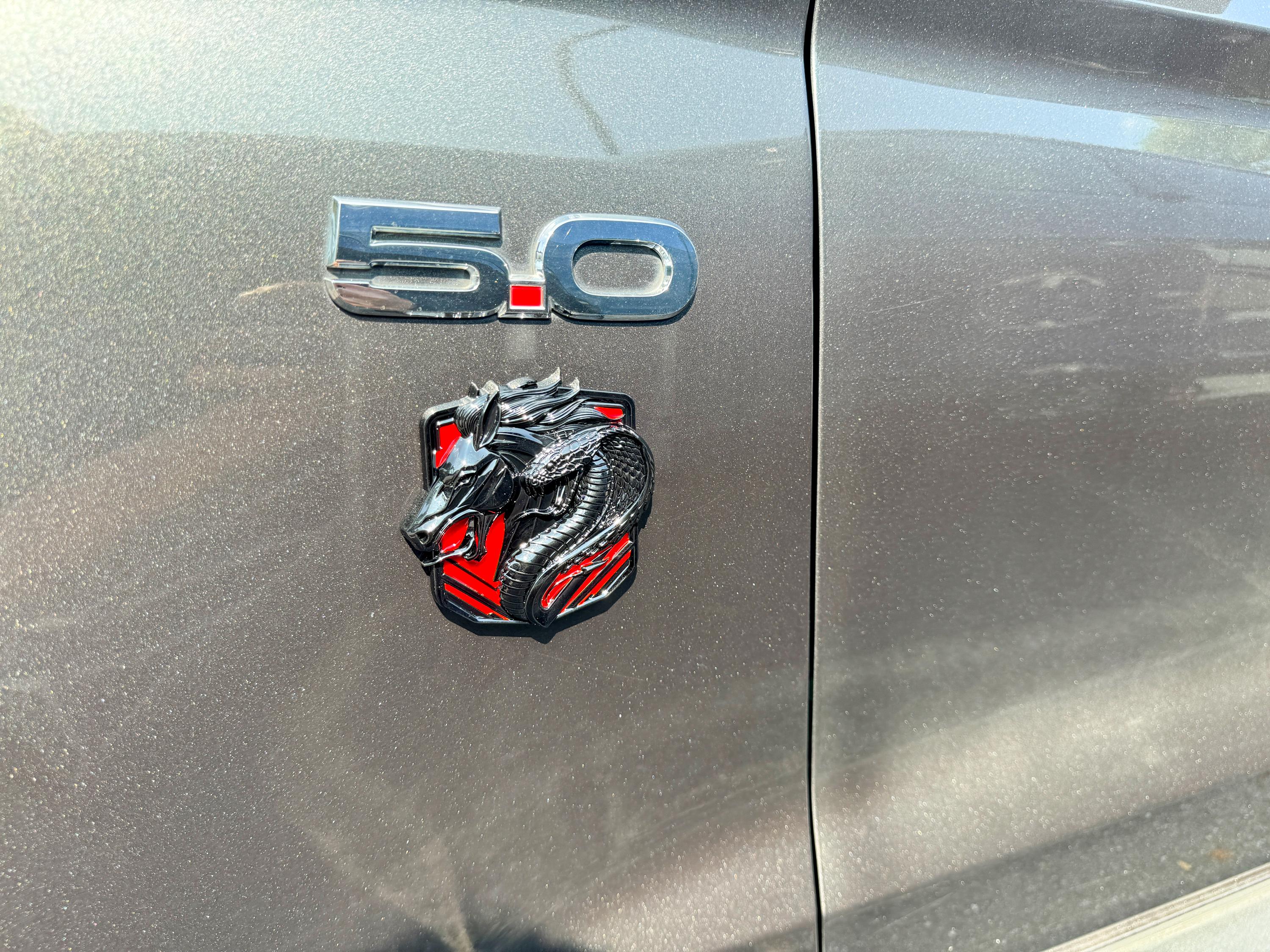 Coyote Emblem – Mustang Accessories for Fender/ Decklid/Bumper | OEM+ Style, 4"x4"