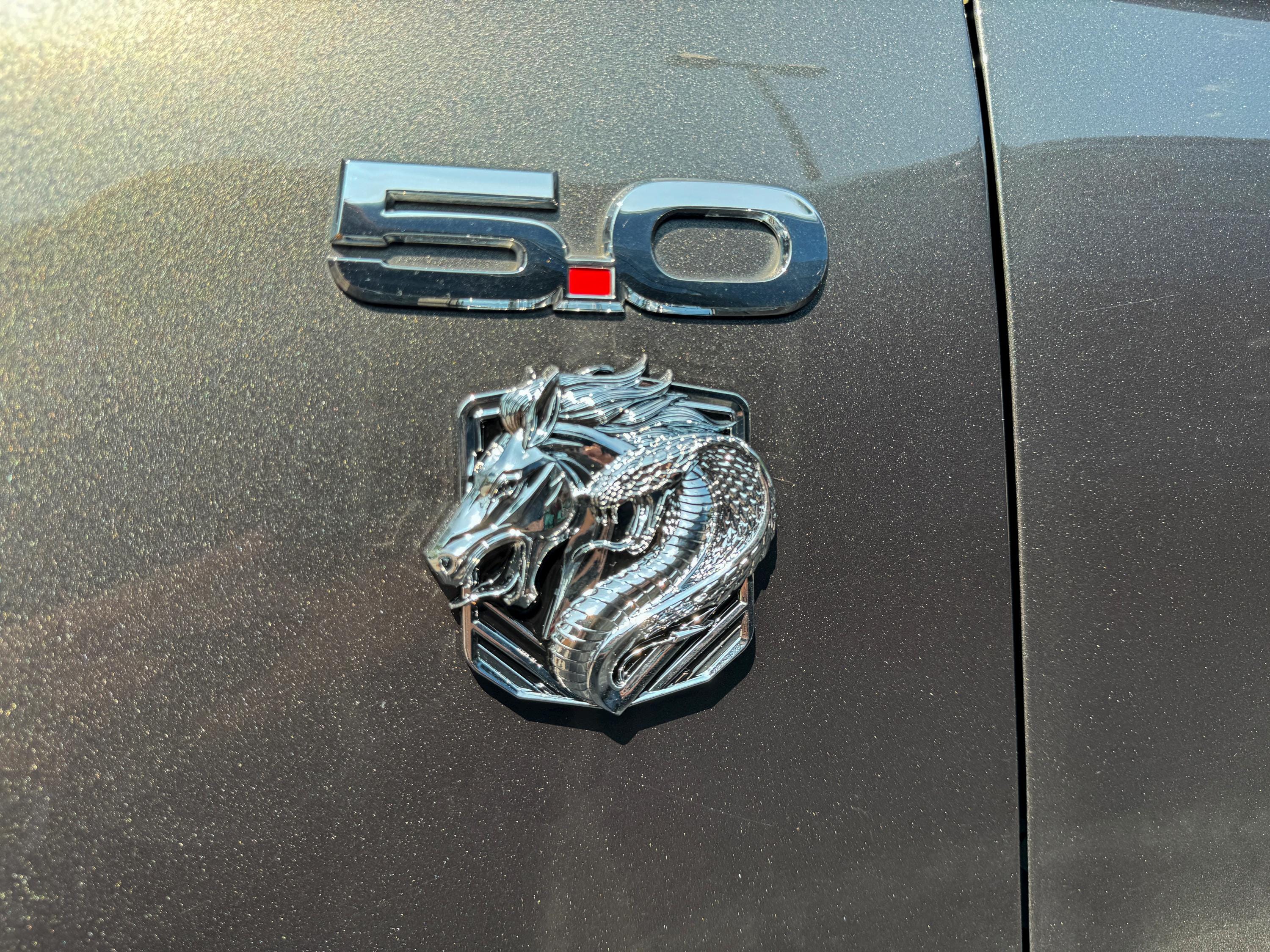 Coyote Emblem – Mustang Accessories for Fender / Door | OEM+ Style, 4"x4" Chrome