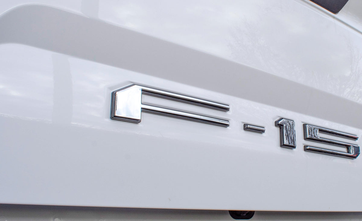 Chrome on Black Raised Tailgate Insert Letters Tailgate Letters Insert Plastic ABS Badge Fits 2018-2020 Ford F-150 F150 Tailgate