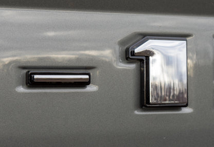 Chrome on Black Raised Tailgate Insert Letters Tailgate Letters Insert Plastic ABS Badge Fits 2018-2020 Ford F-150 F150 Tailgate